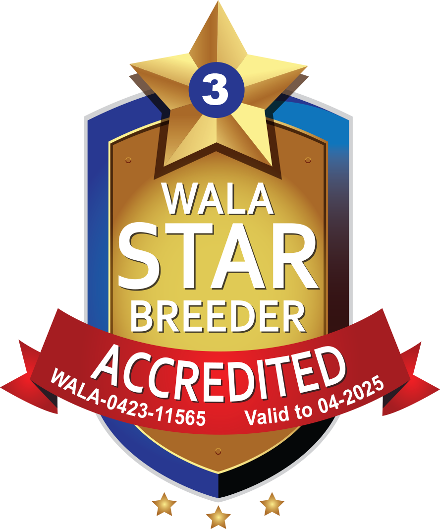 WALA Star Breeder Badge